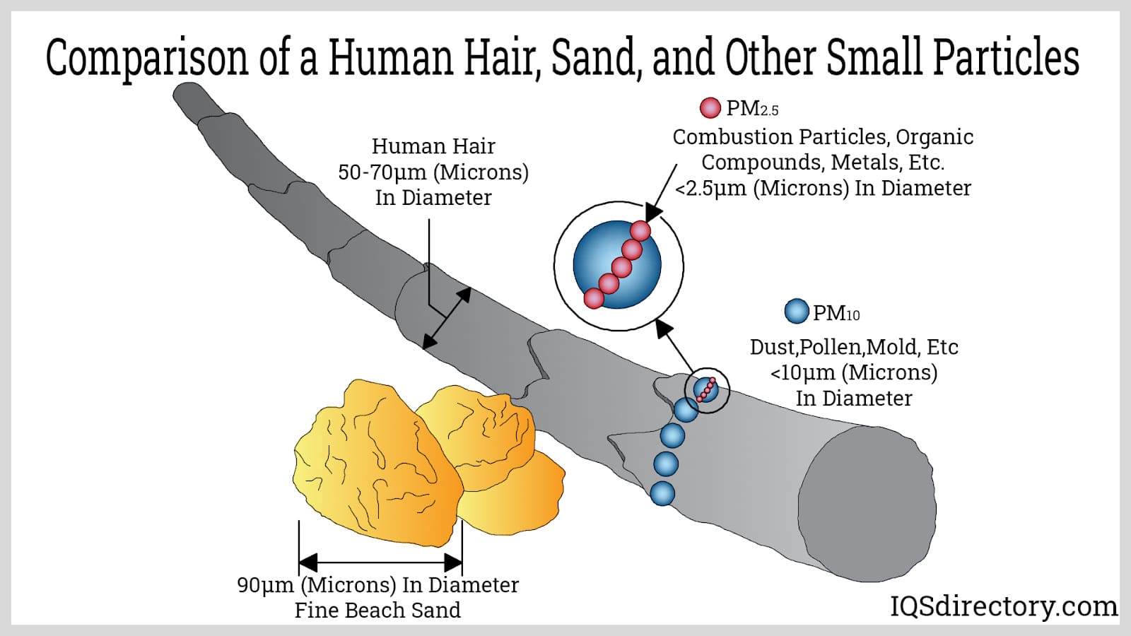 Comparison of a Human Hair, Sand, and Other Small Particles