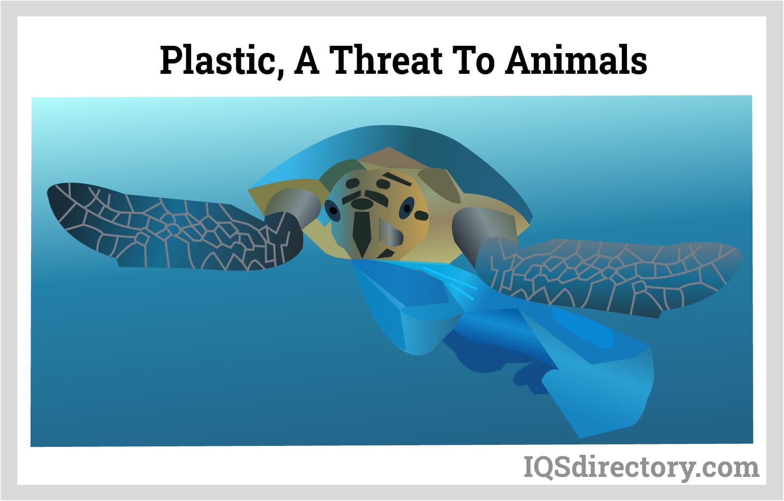 Plastic, A Threat to Animals