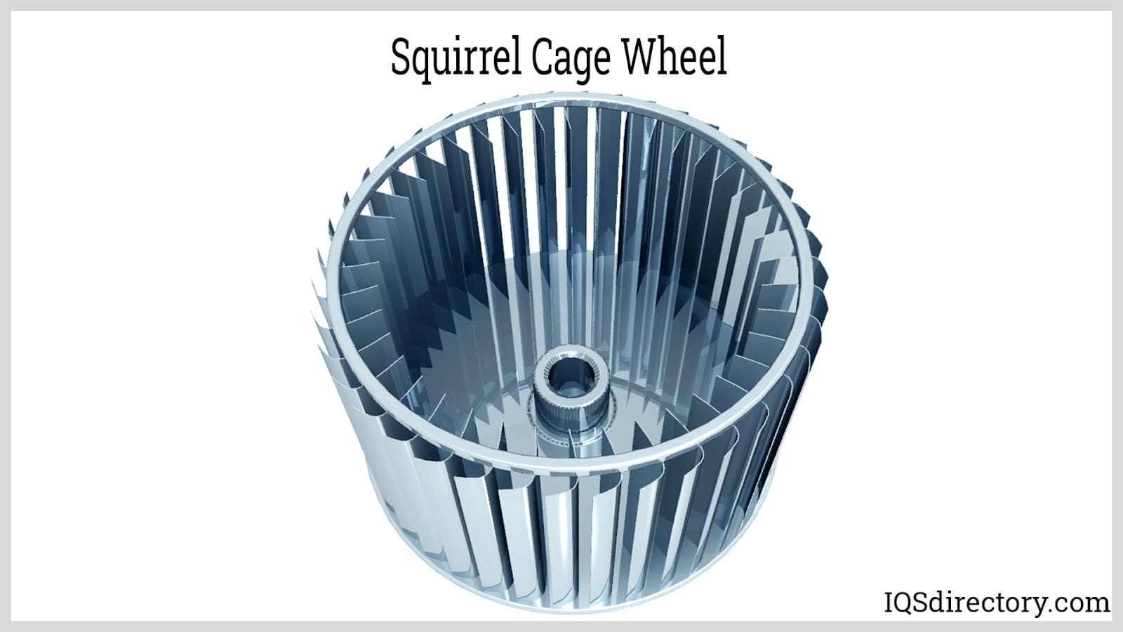 Squirrel Cage Wheel