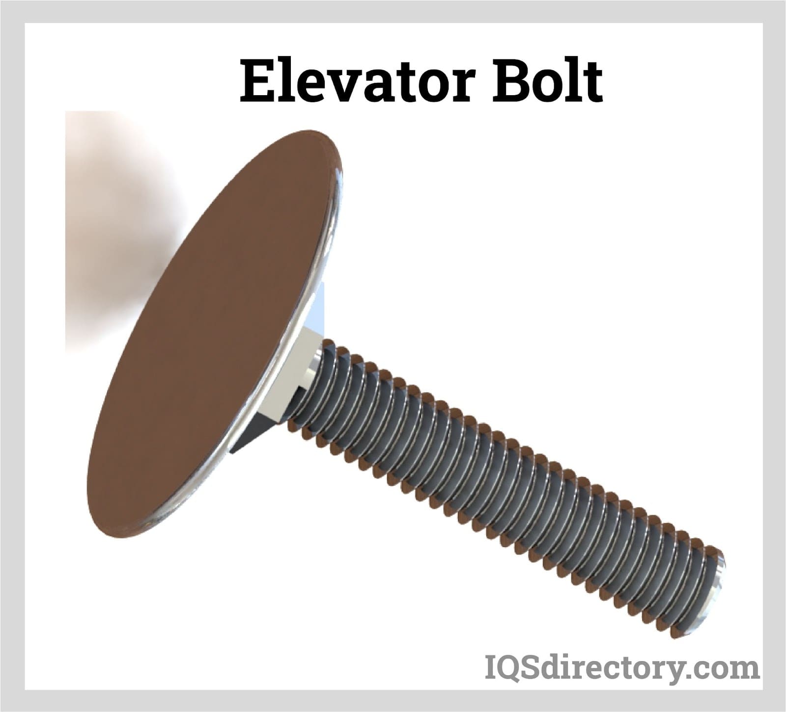 Elevator Bolt