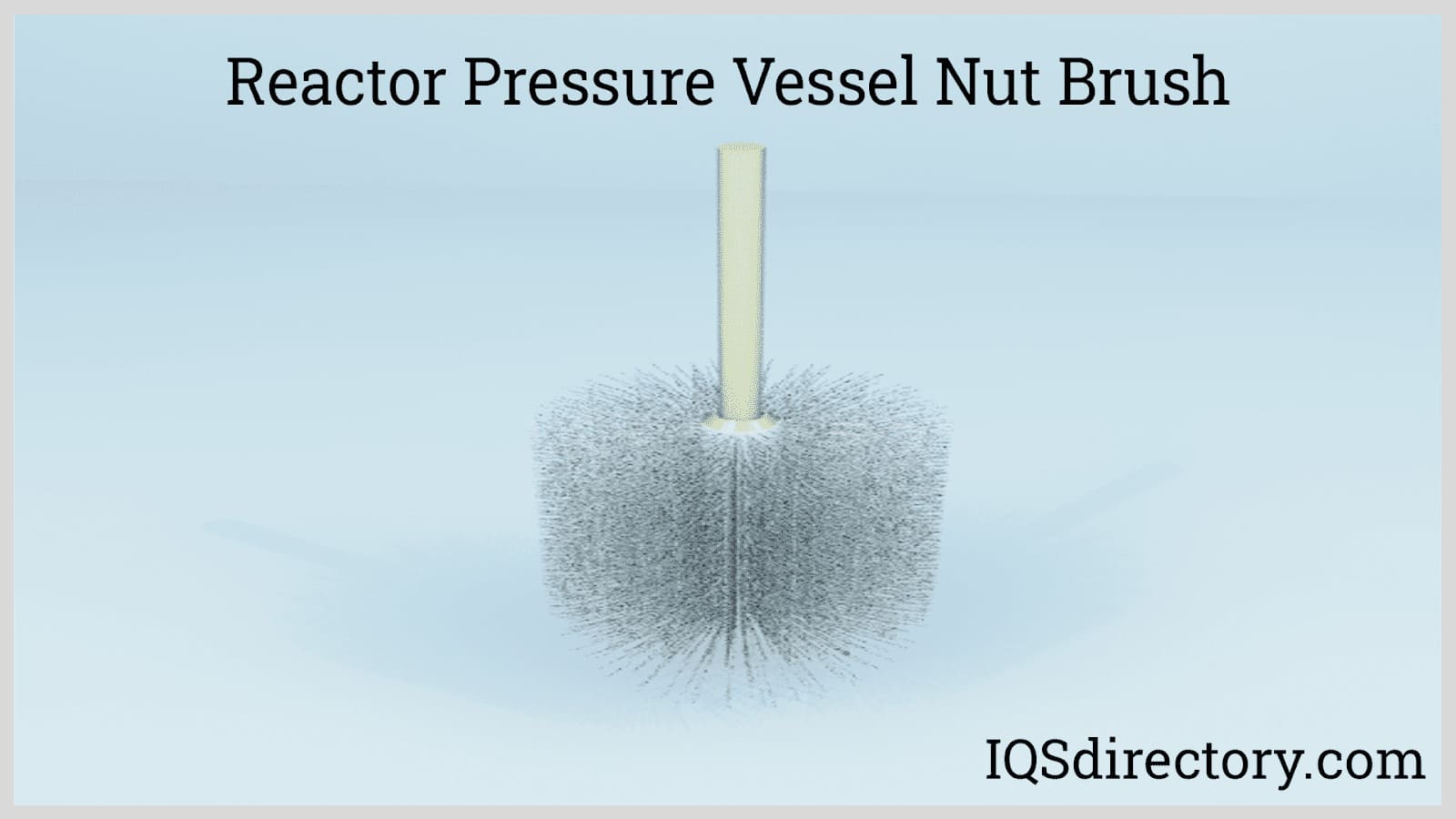 Reactor Pressure Vessel Nut Brush