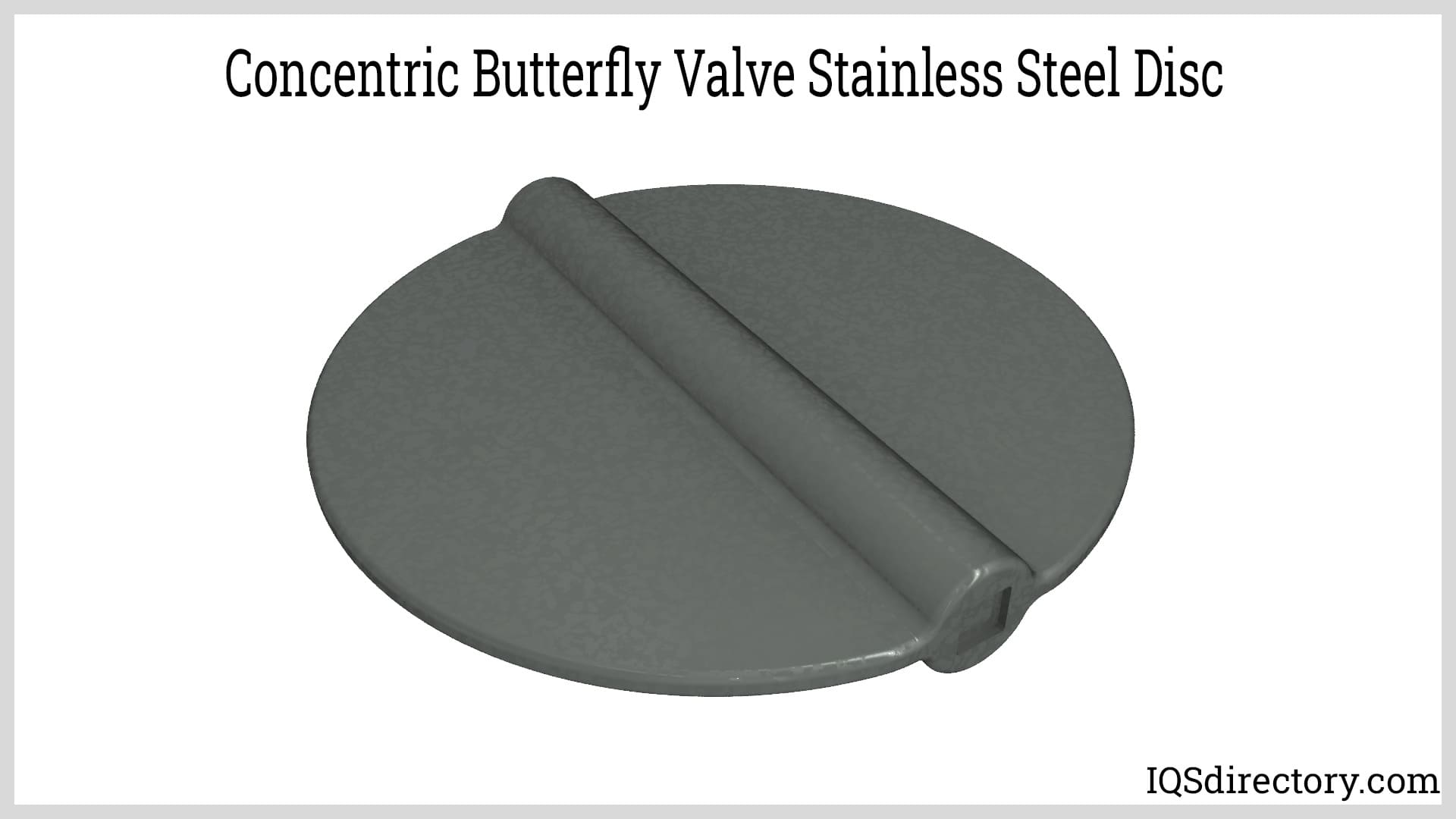 Concentric Butterfly Valve Stainless Steel Disc