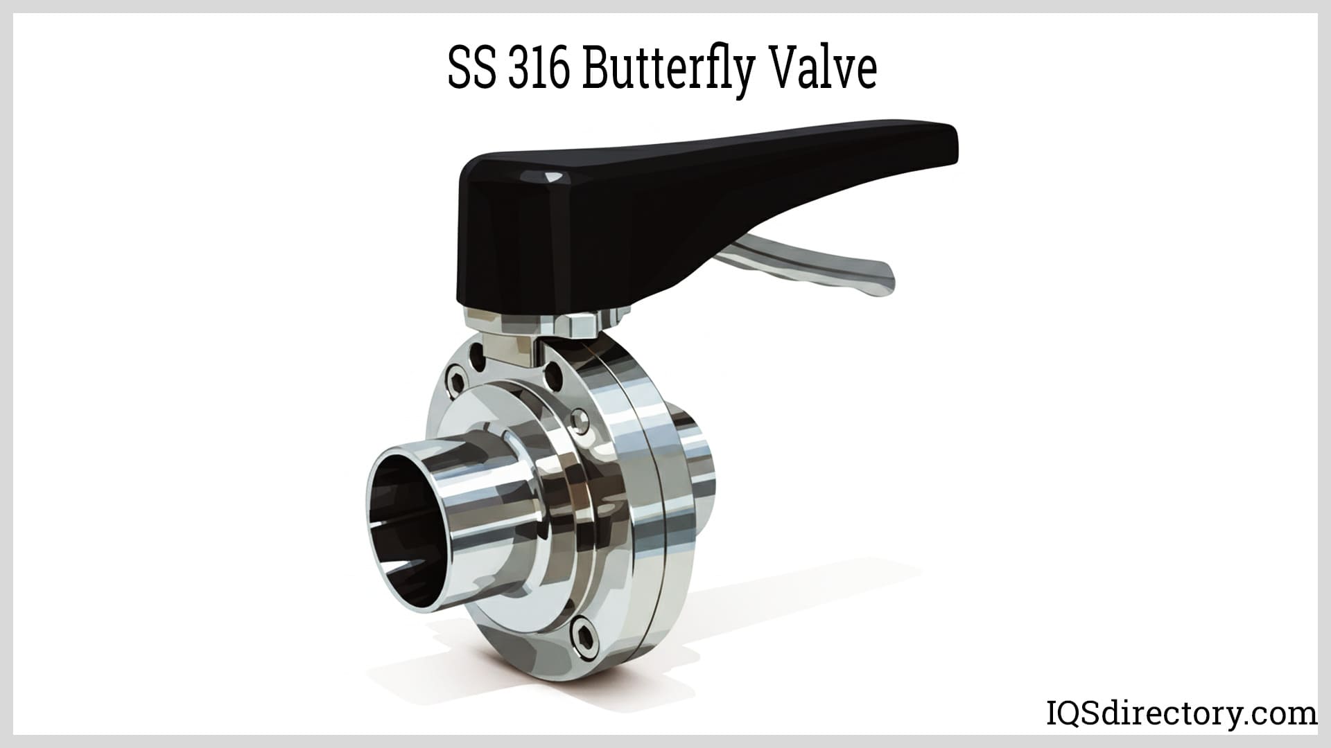 SS 316 Butterfly Valve