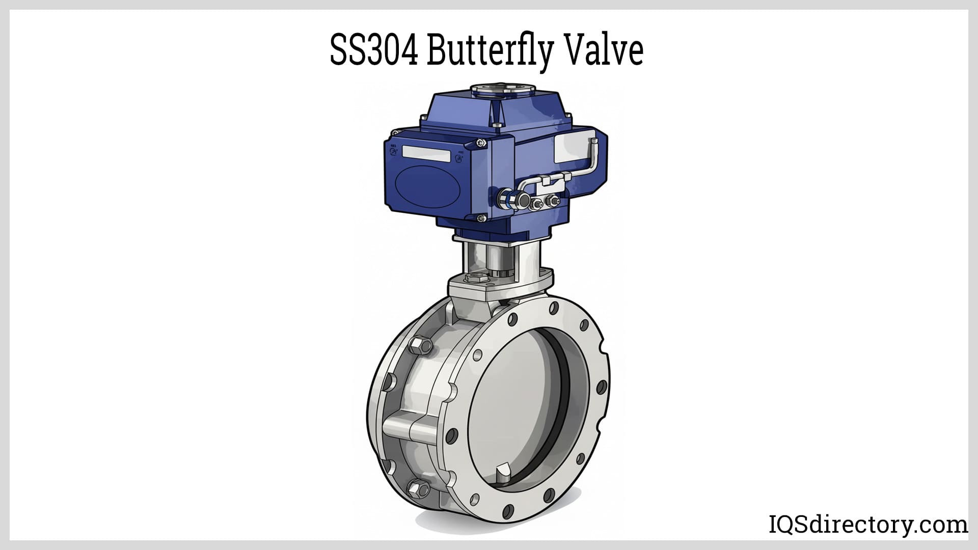 SS304 Butterfly Valve