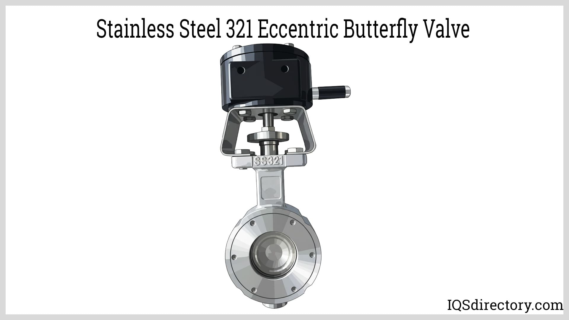 Stainless Steel 321 Eccentric Butterfly Valve