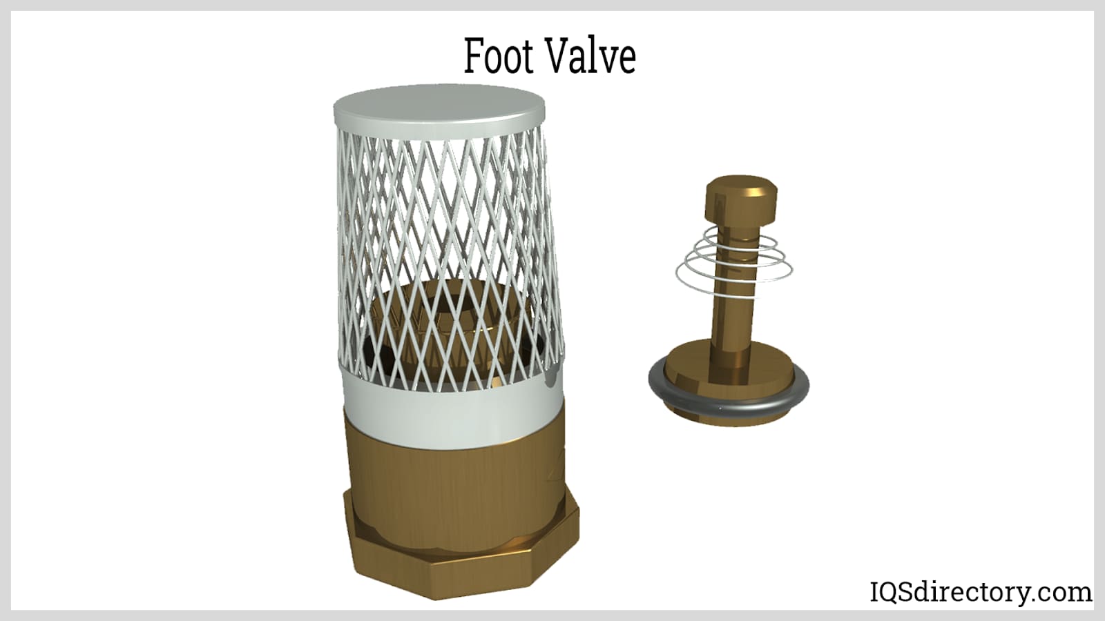 Foot Valve