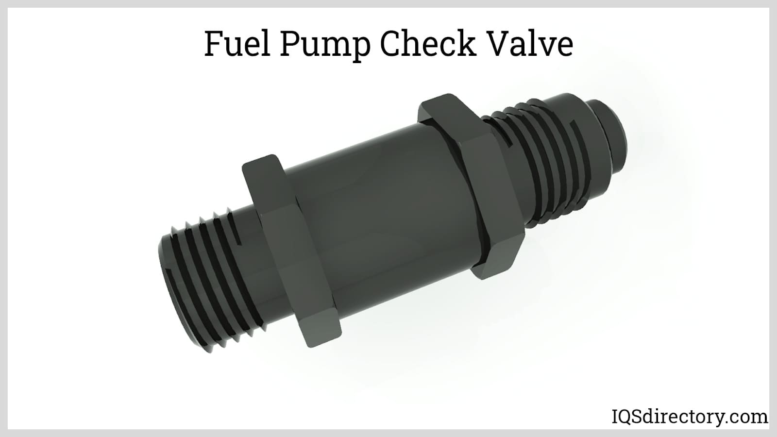 Fuel Pump Check Valve