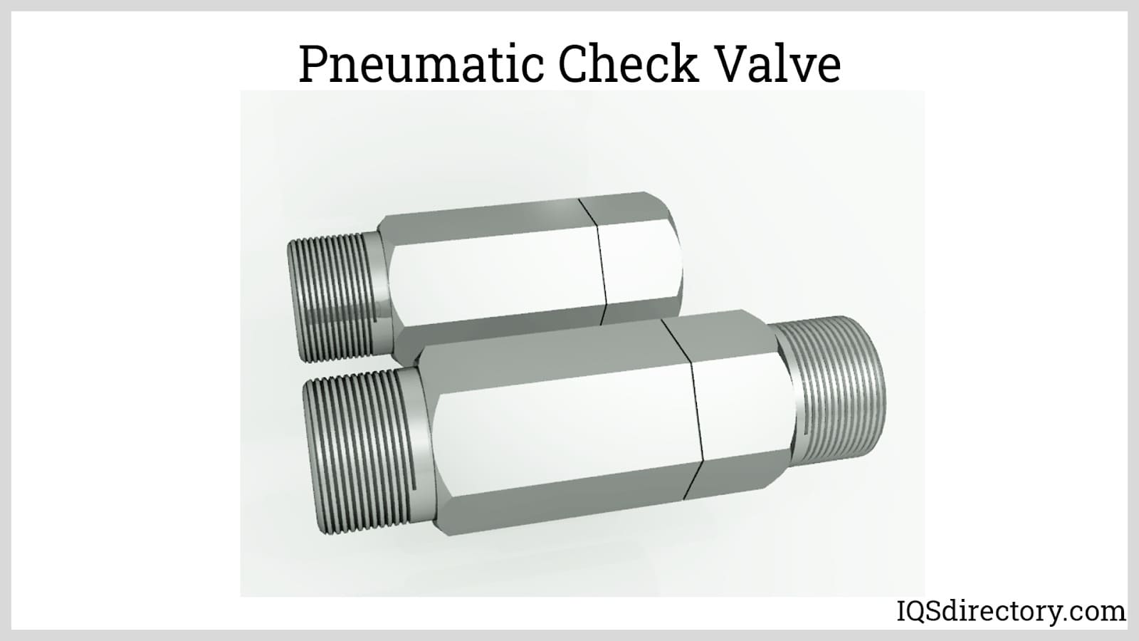 Pneumatic Check Valve