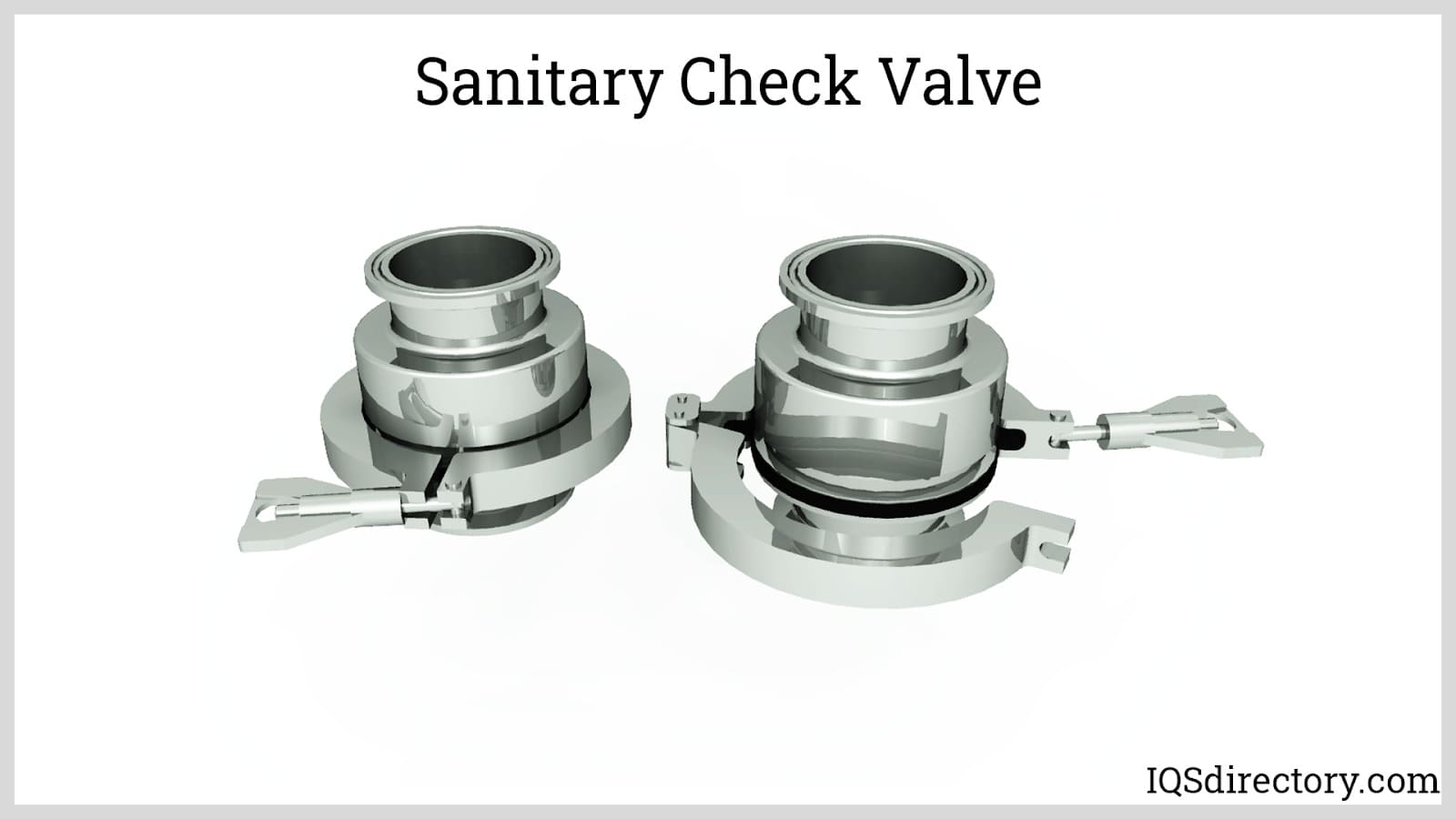 Sanitary Check Valve