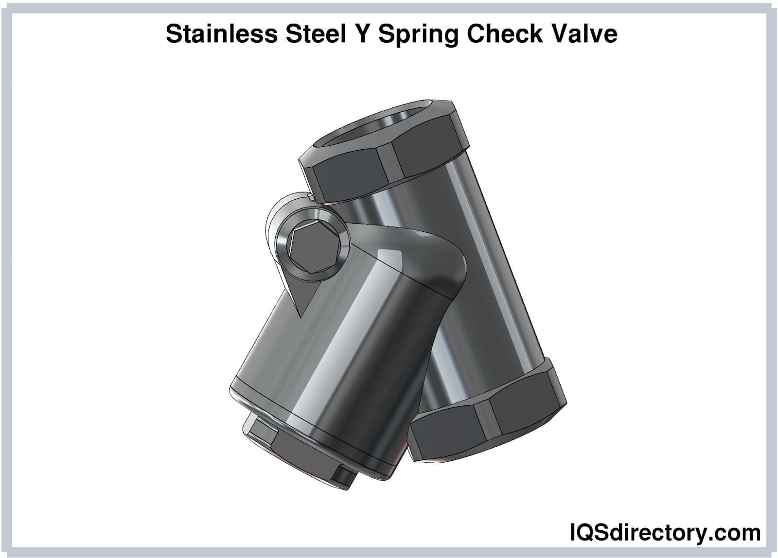 Stainless Steel Y Spring Check Valve