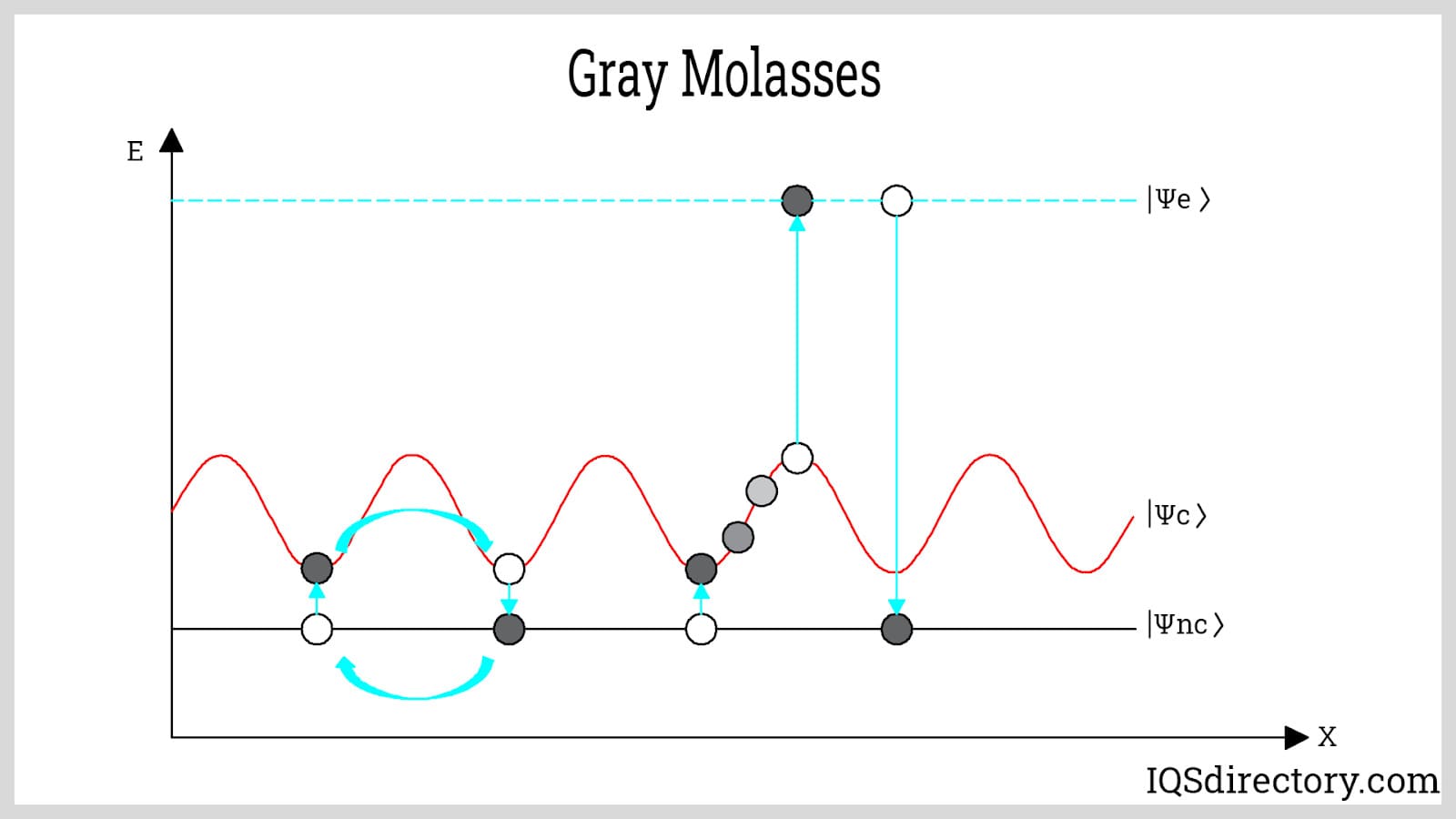 Gray Molasses