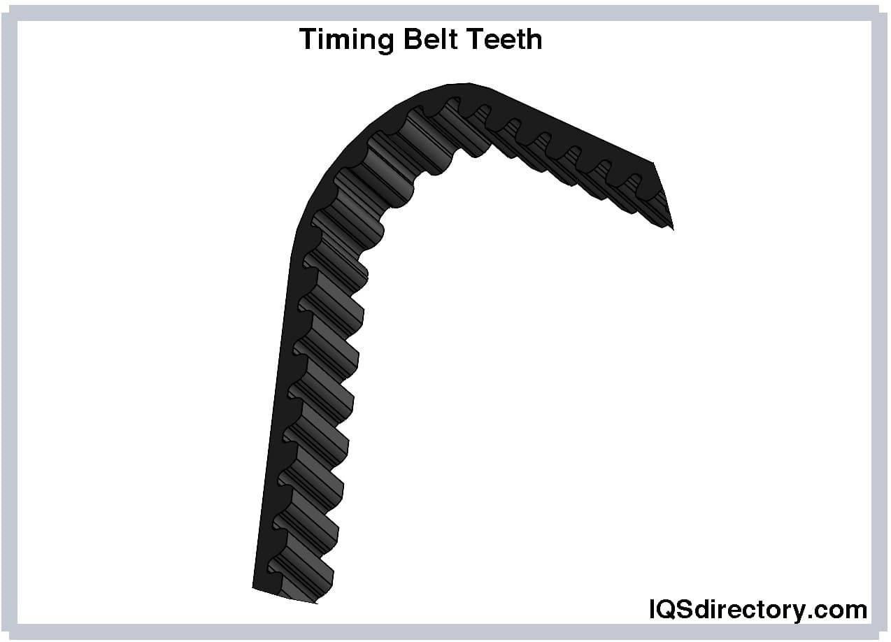 Timing Belt Teeth