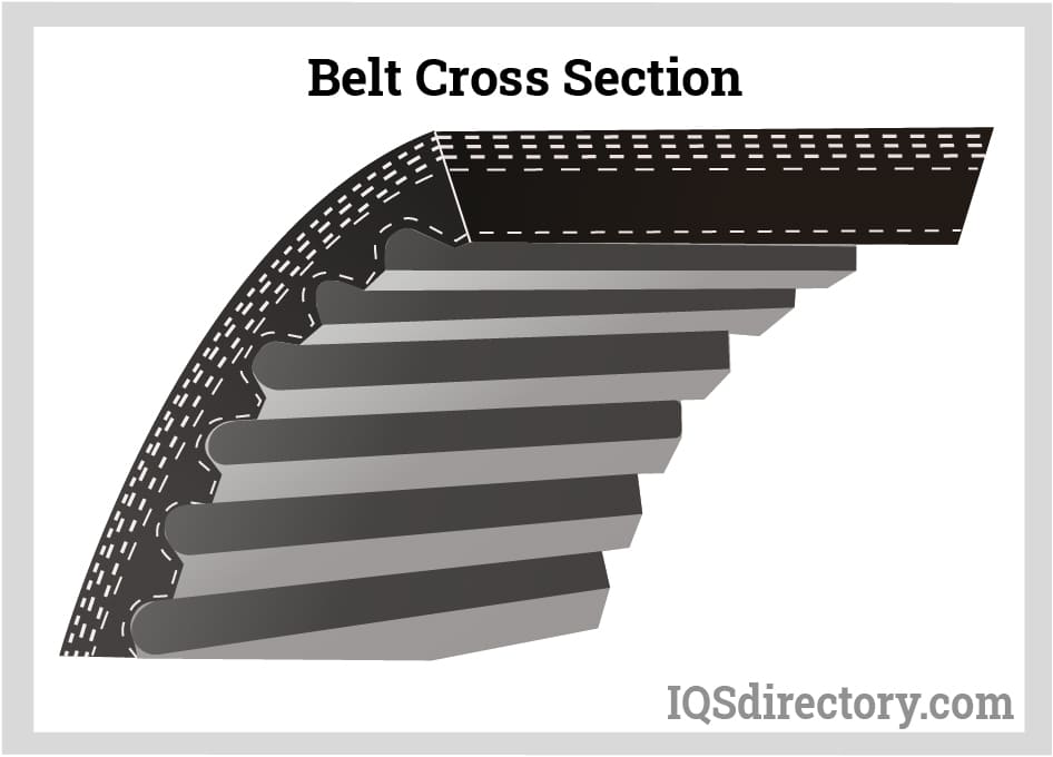 Belt Cross Section