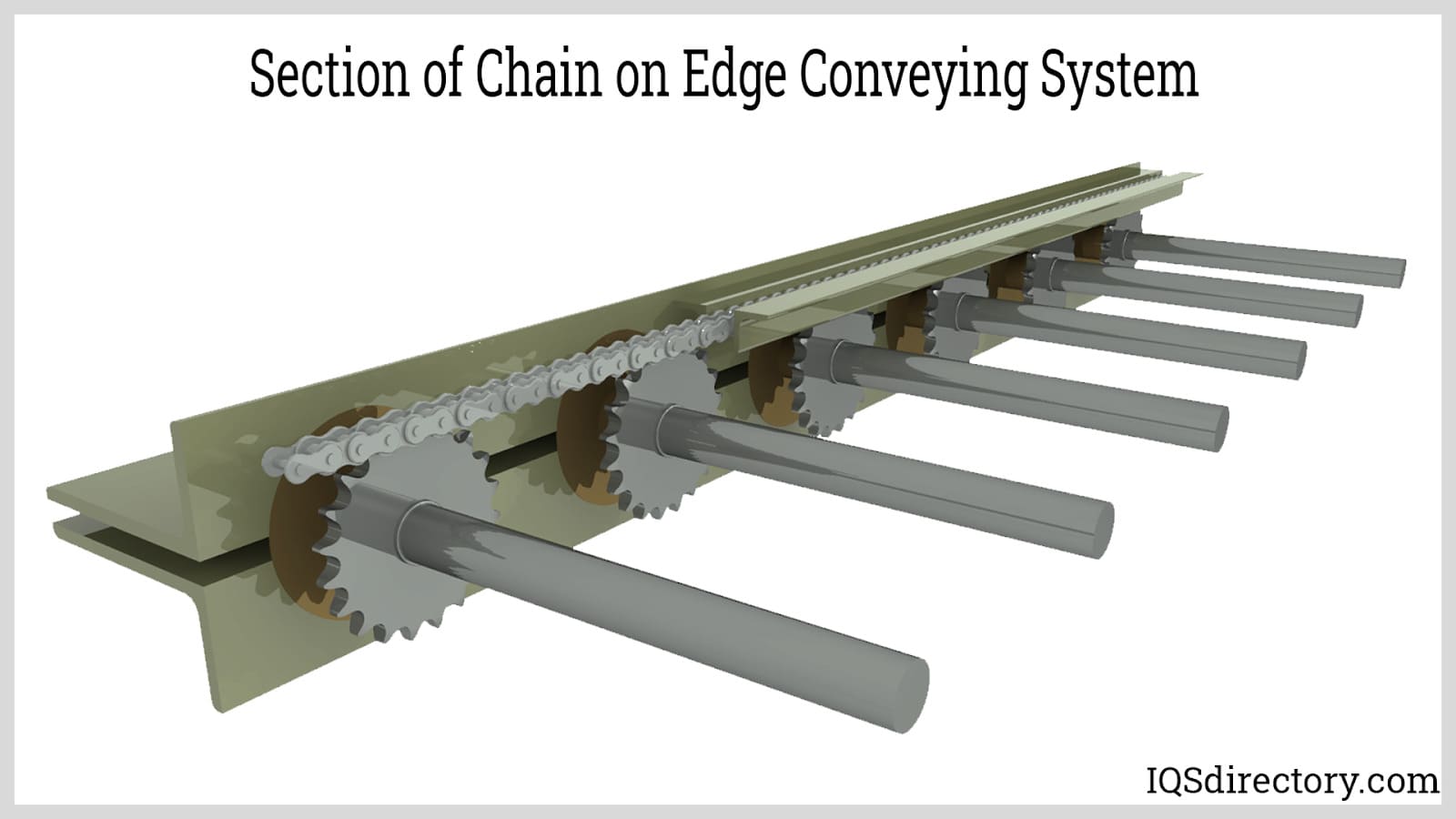 Section of Chain on Edge Conveying System