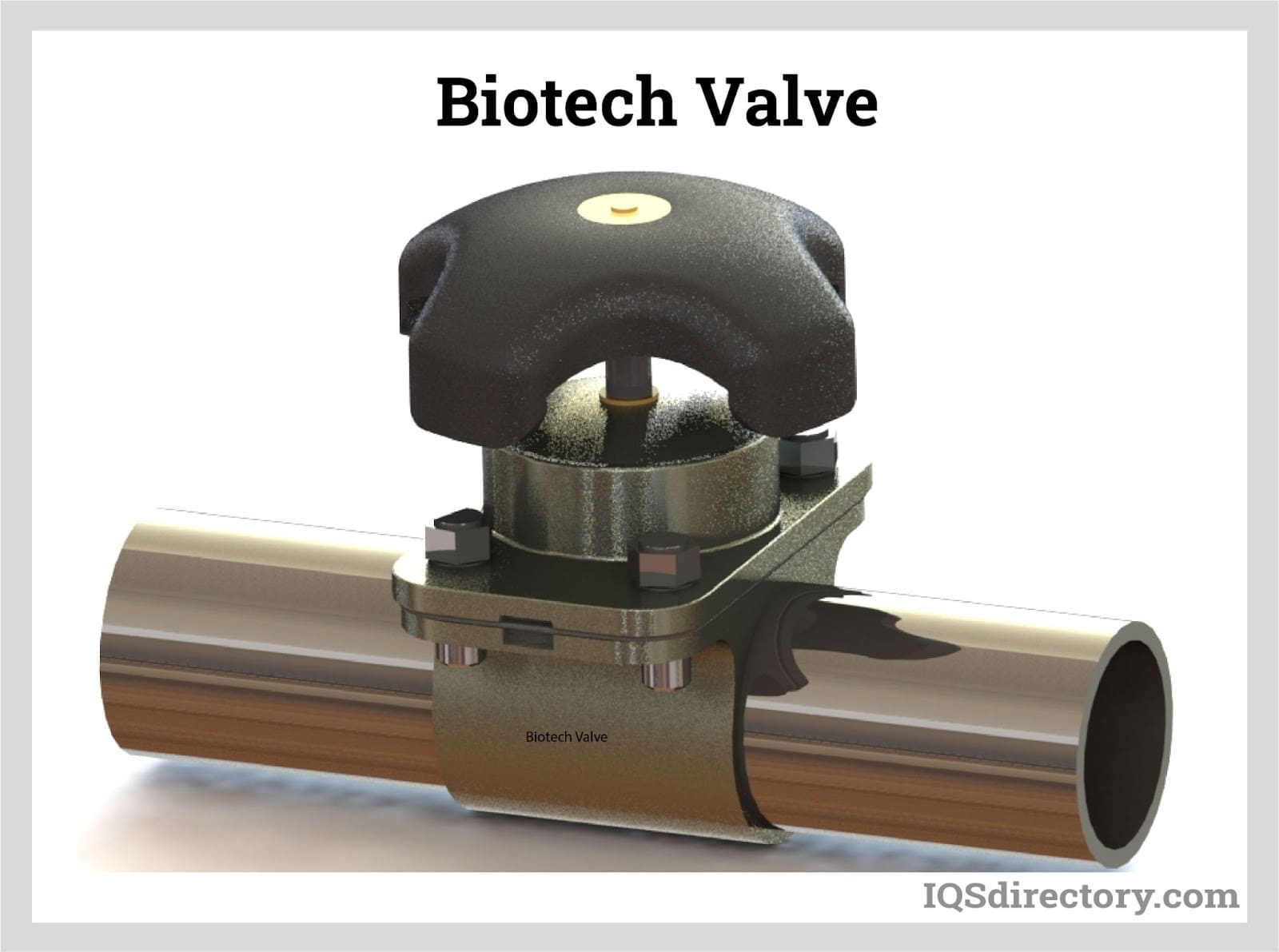 Biotech Valve