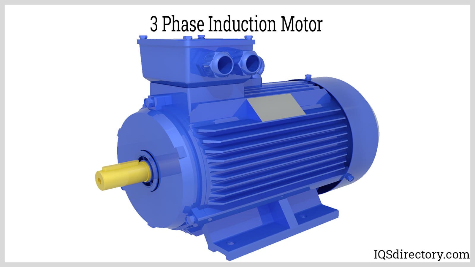 3 Phase Induction Motor