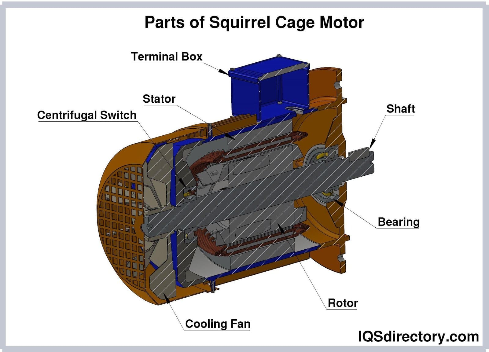 Parts of Squirrel Cage Motor