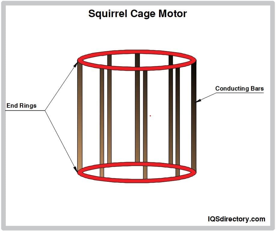Squirrel Cage Motor