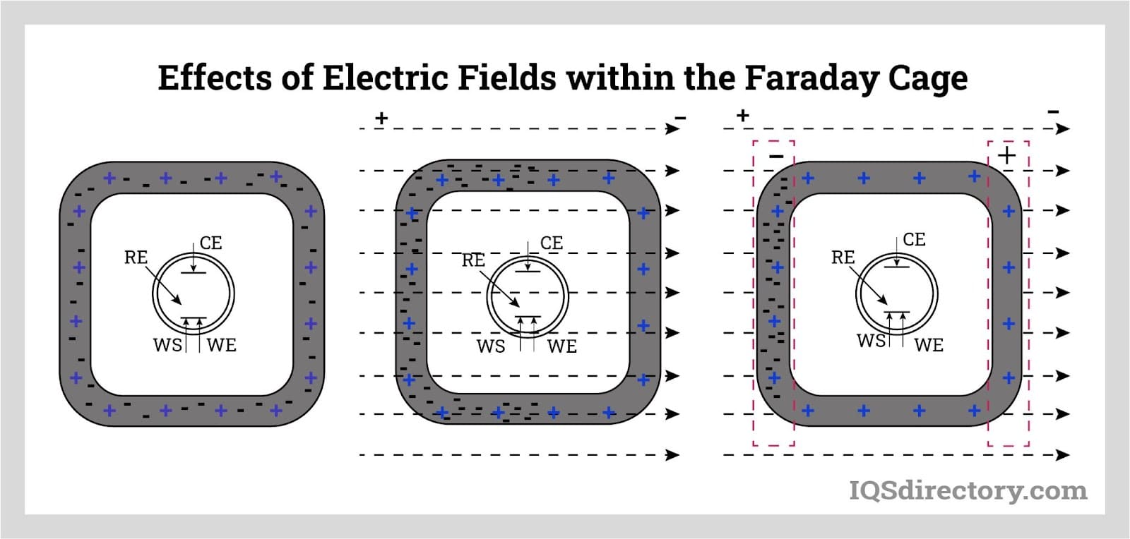 Effects of Electric Fields within the Faraday Cage
