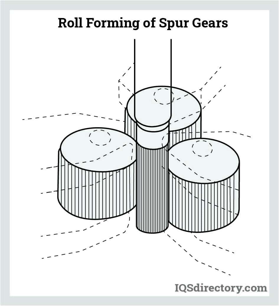 Roll Forming of Spur Gears