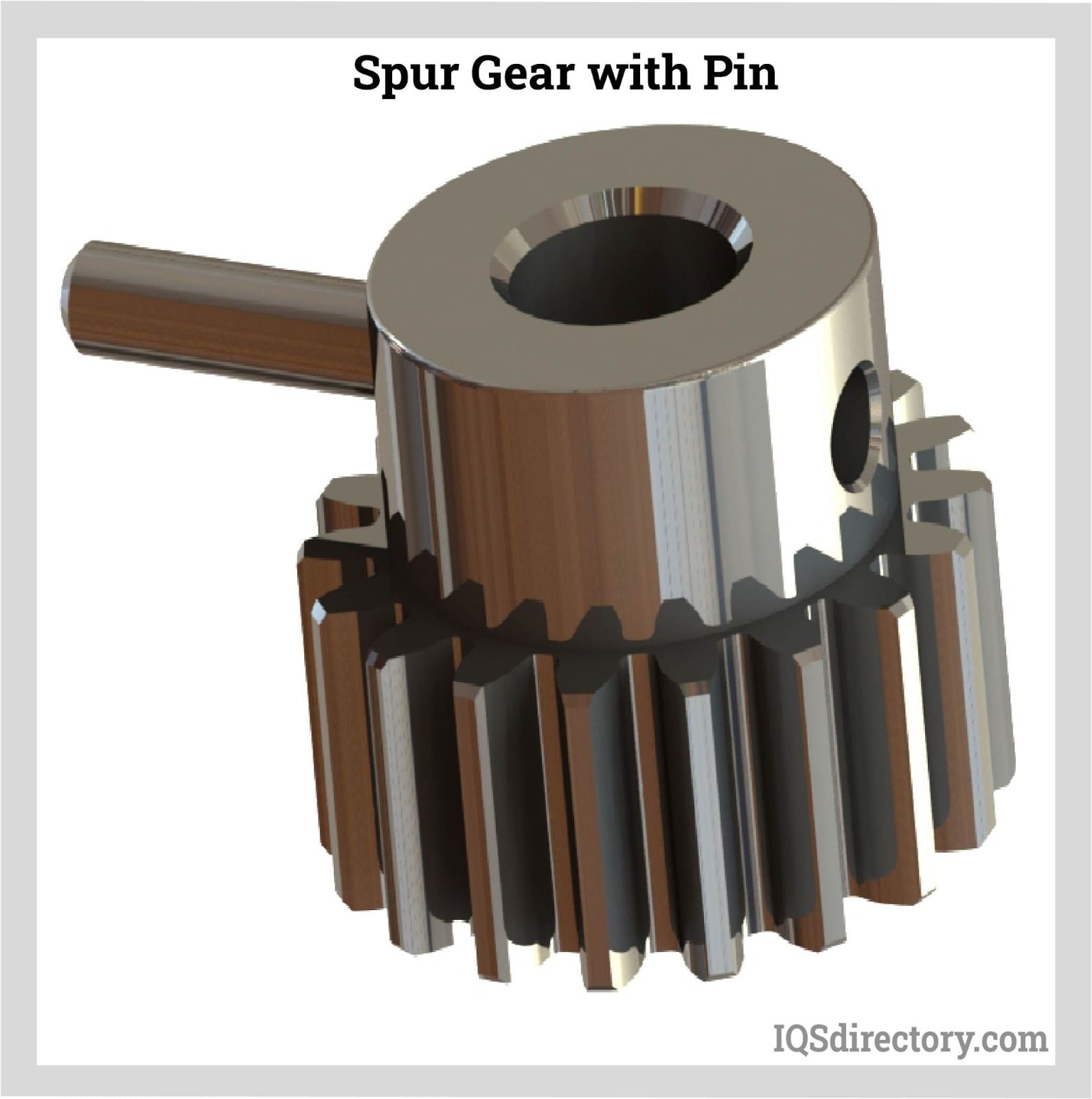 Spur Gear with Pin