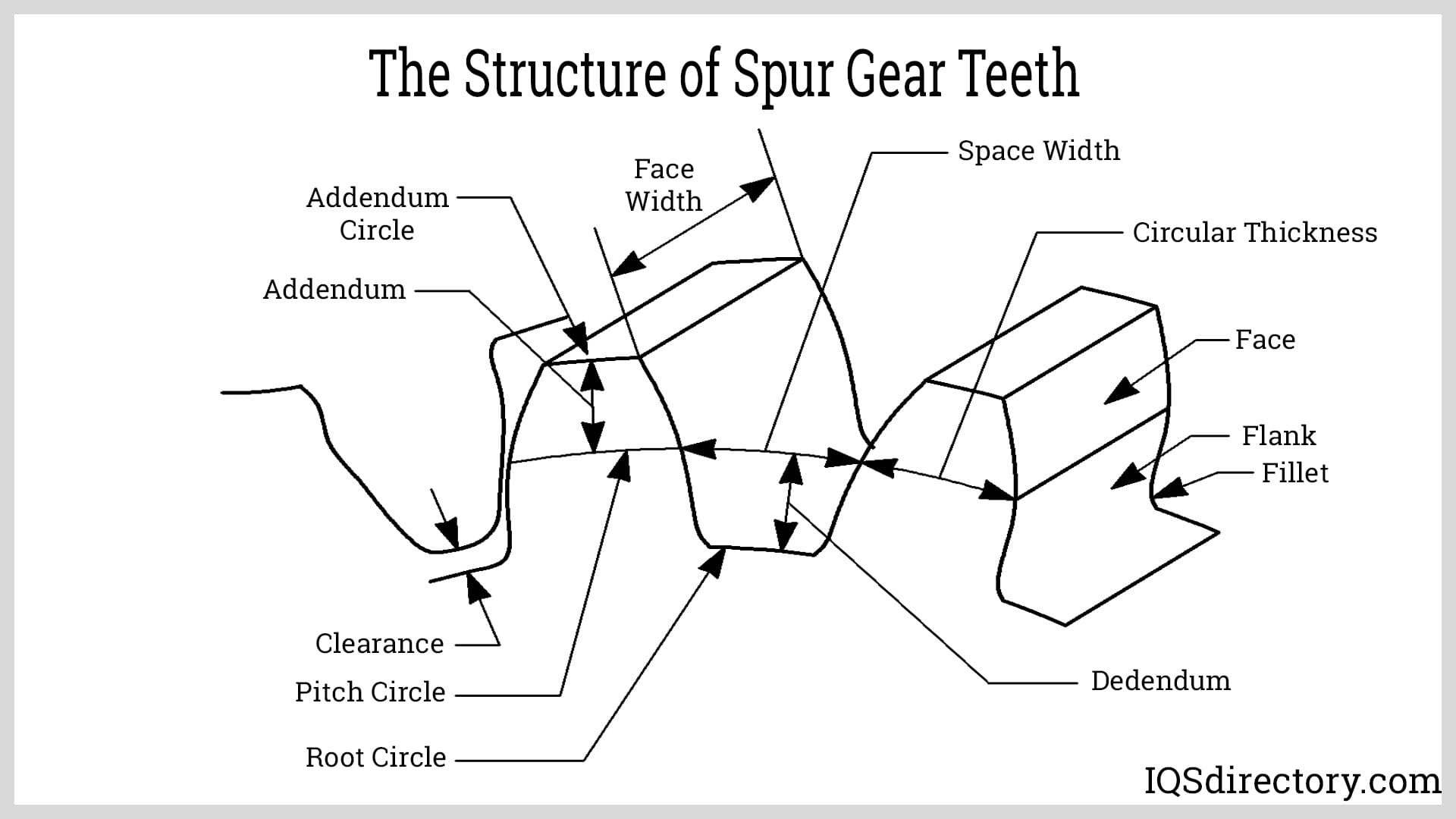 The Structure of Spur Gear Teeth