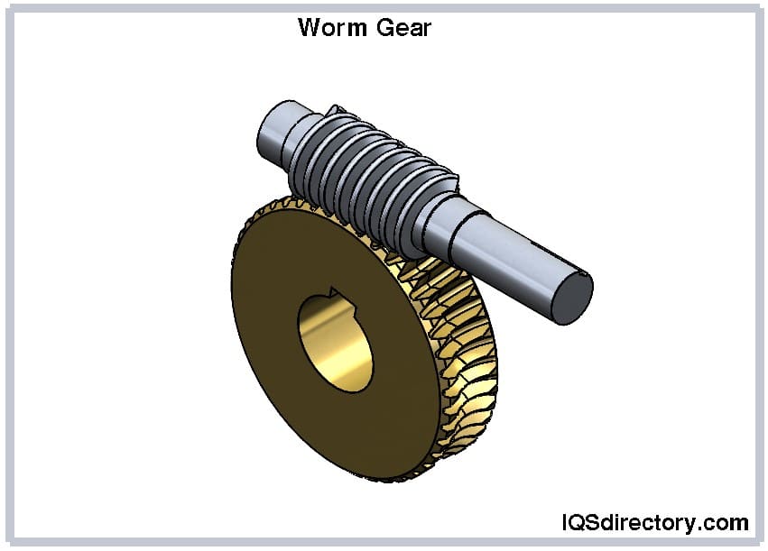 Worm Gear