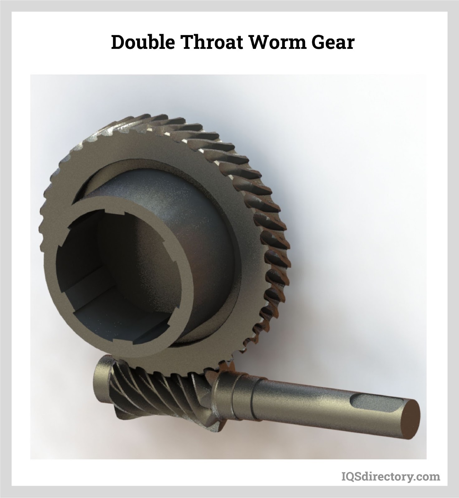 Double Throat Worm Gear