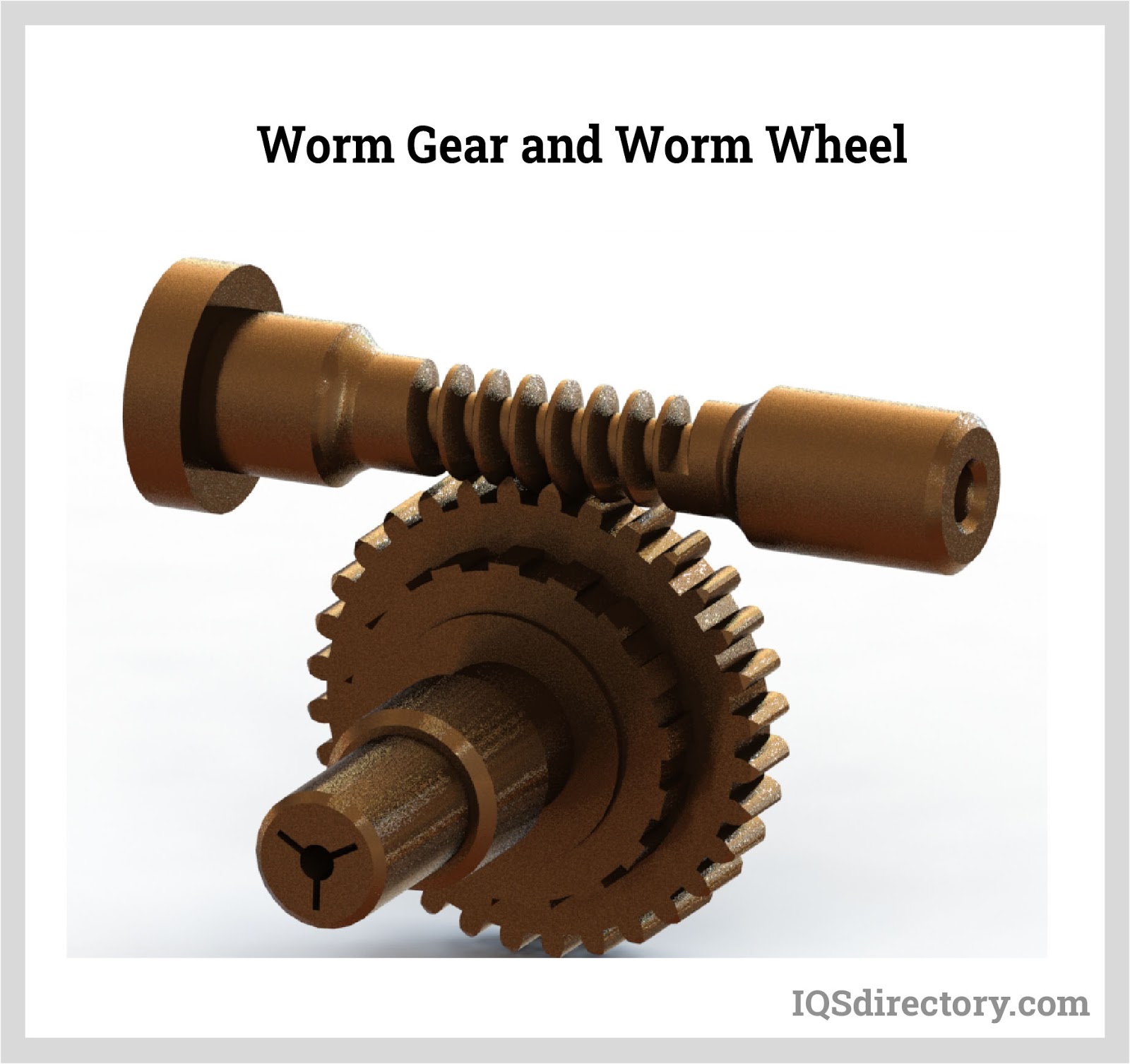 Worm Gear and Worm Wheel