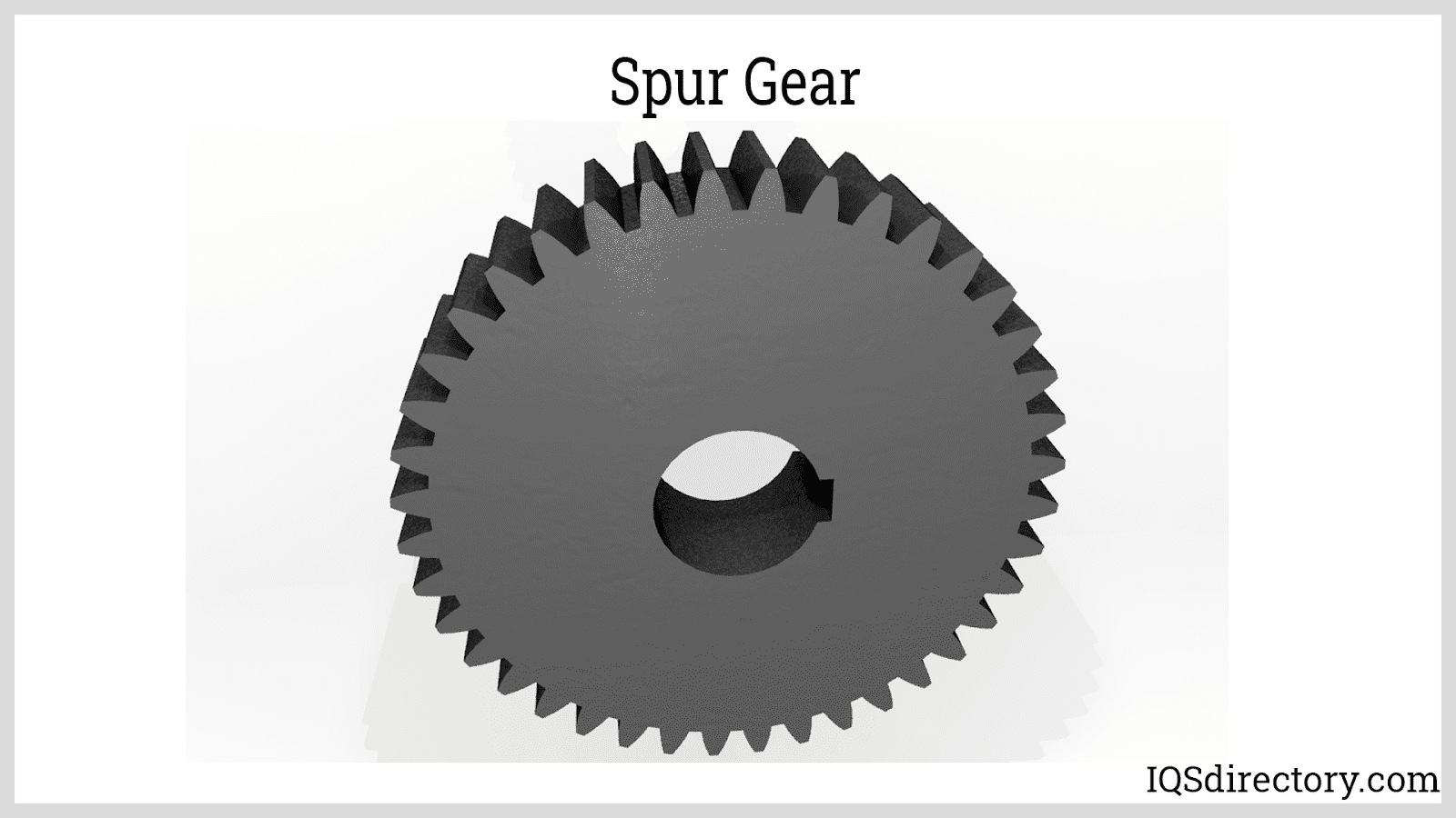 Spur Gear