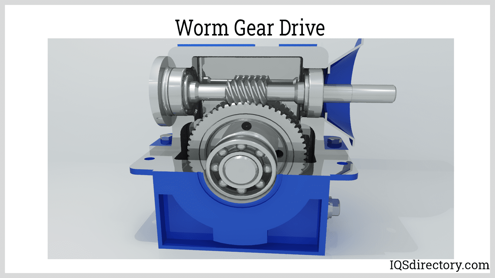 Worm Gear Drive