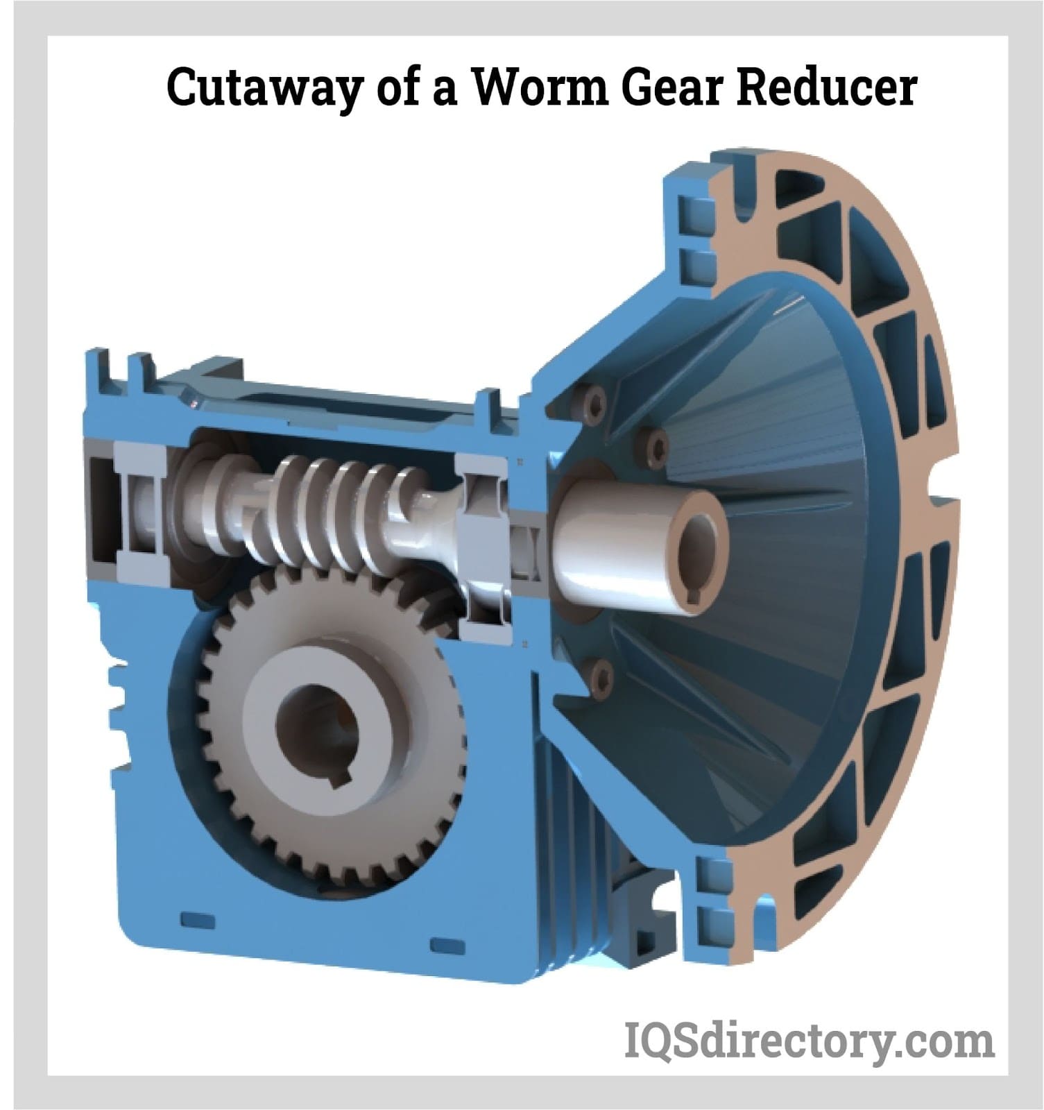 Cutaway of a Worm Gear Reducer