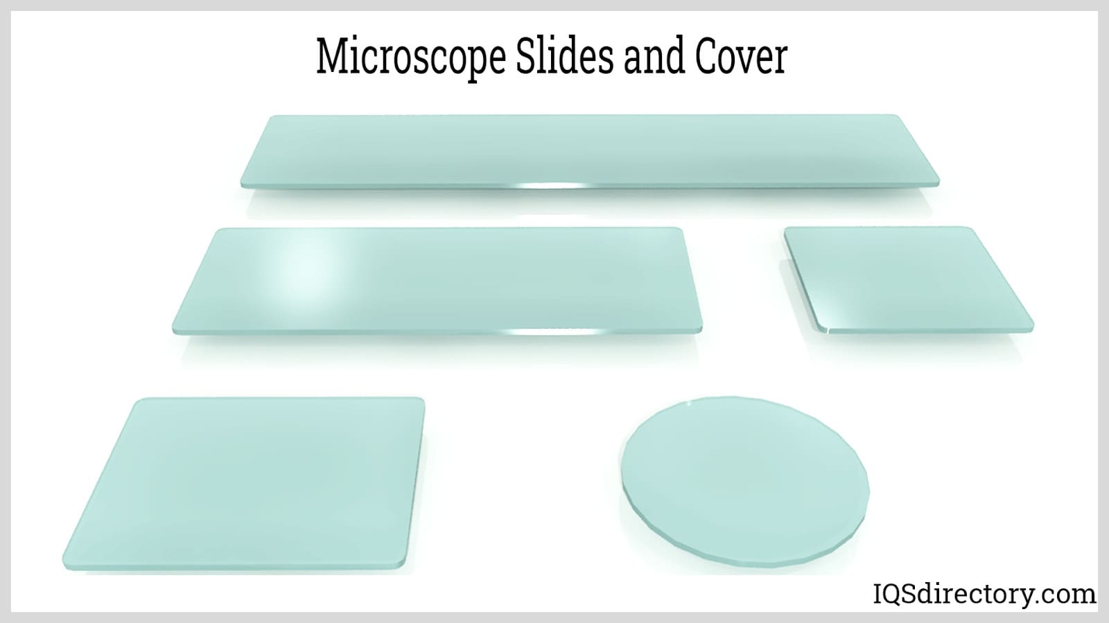 Microscope Slides and Cover