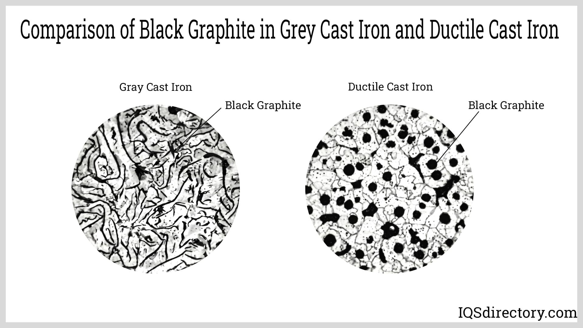 Comparison of Black Graphite in Grey Cast Iron and Ductile Cast Iron