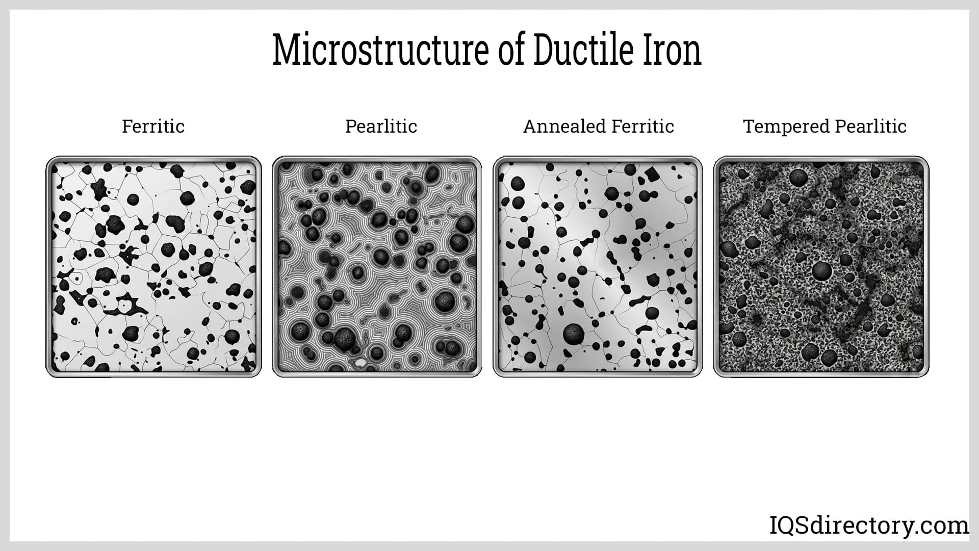 Microstructure of Ductile Iron