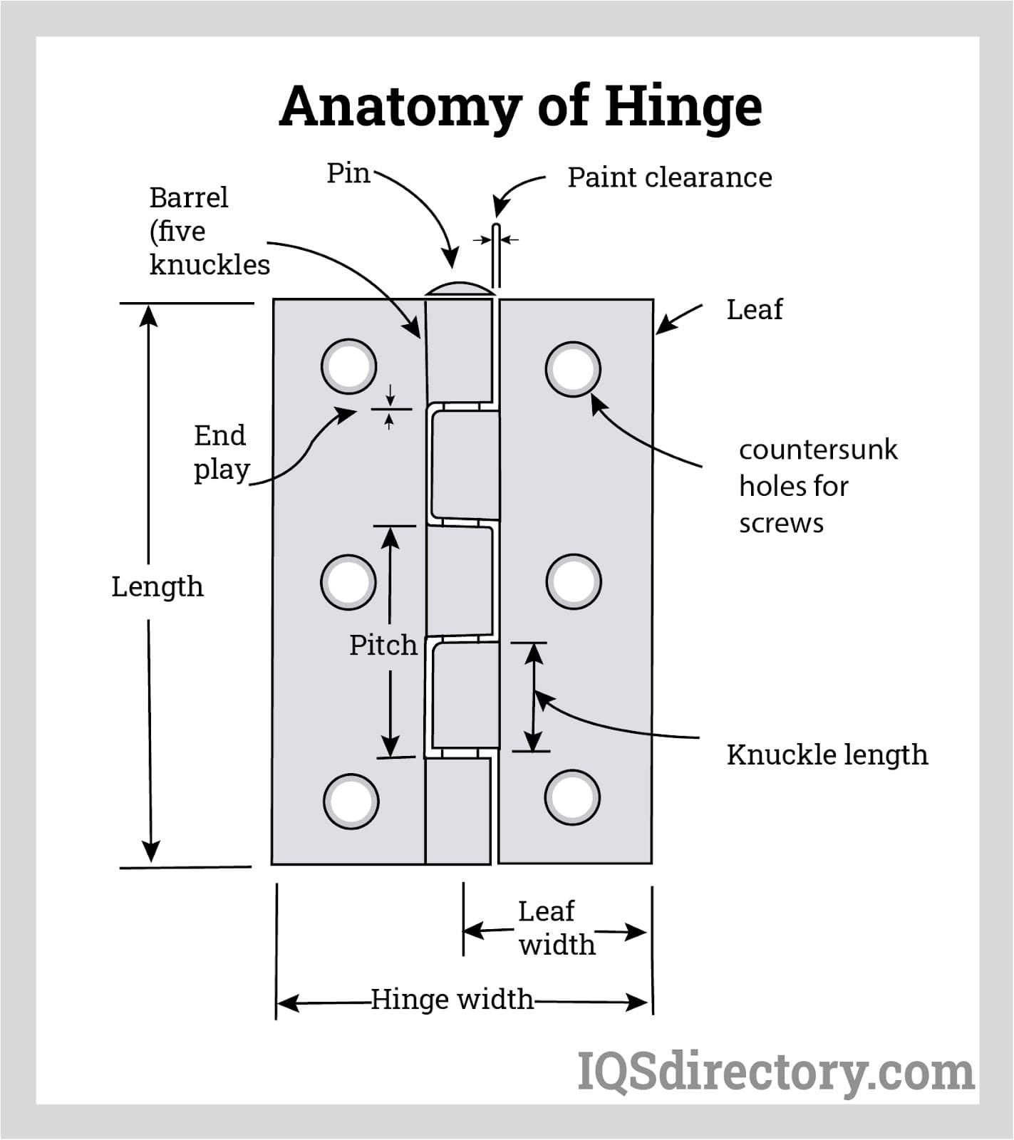 Anatomy of the hinge