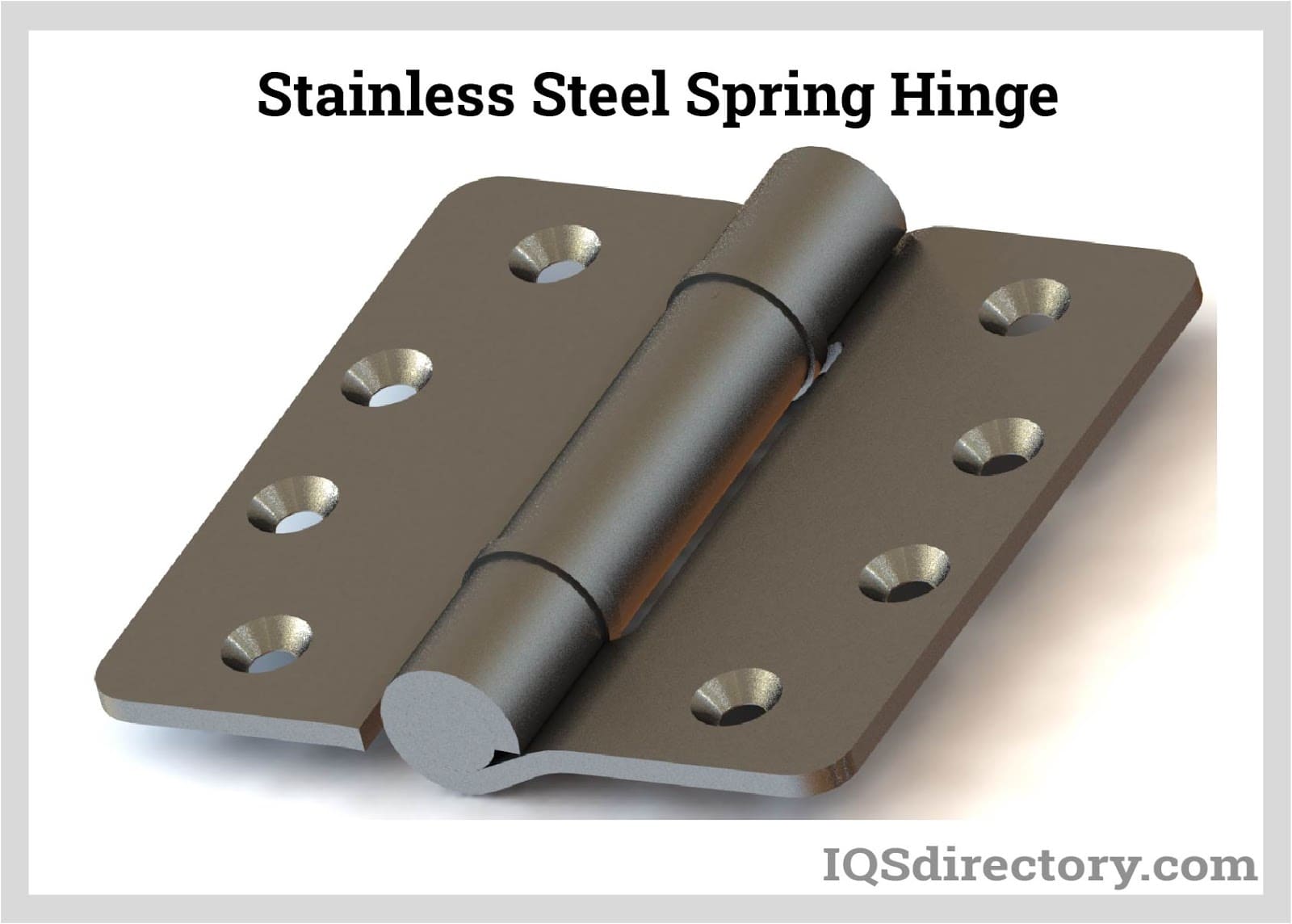 Stainless Steel Spring Hinge