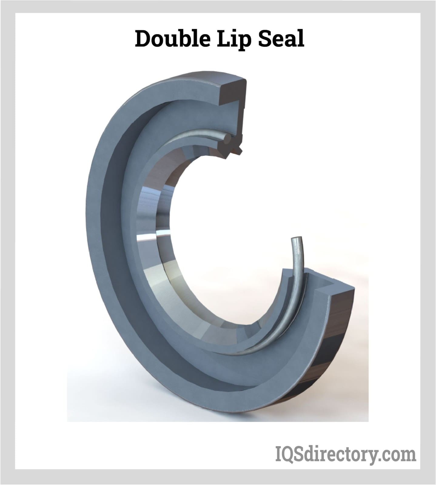 Double Lip Seal