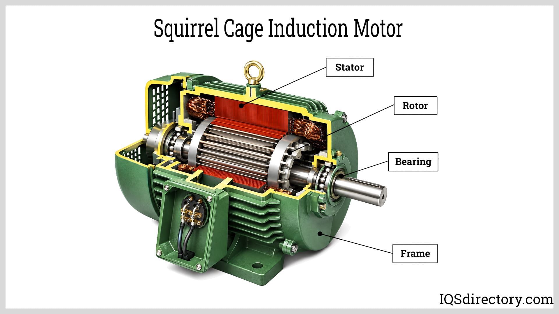 Squirrel Cage Induction Motor