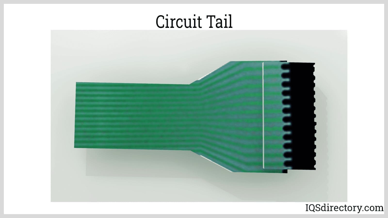 Circuit Tail