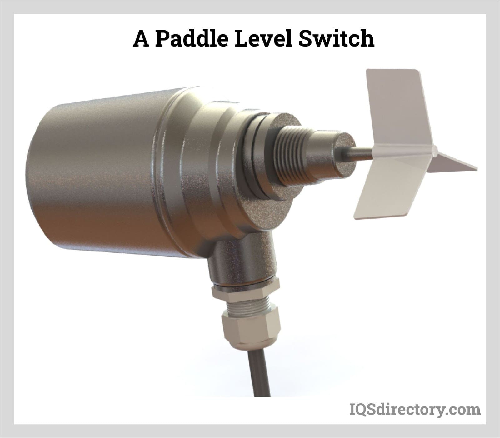 A Paddle Level Switch