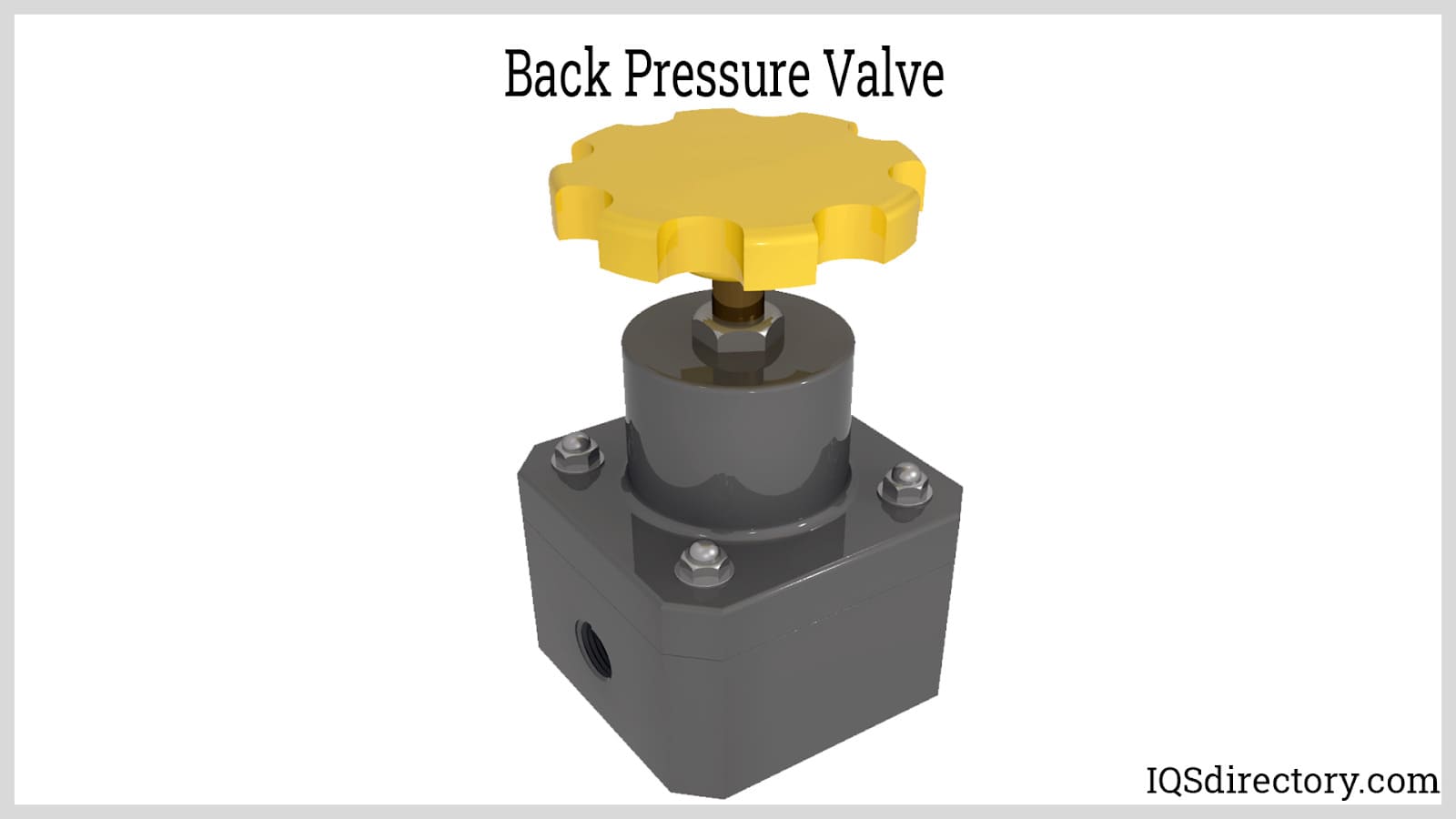 Back Pressure Valve