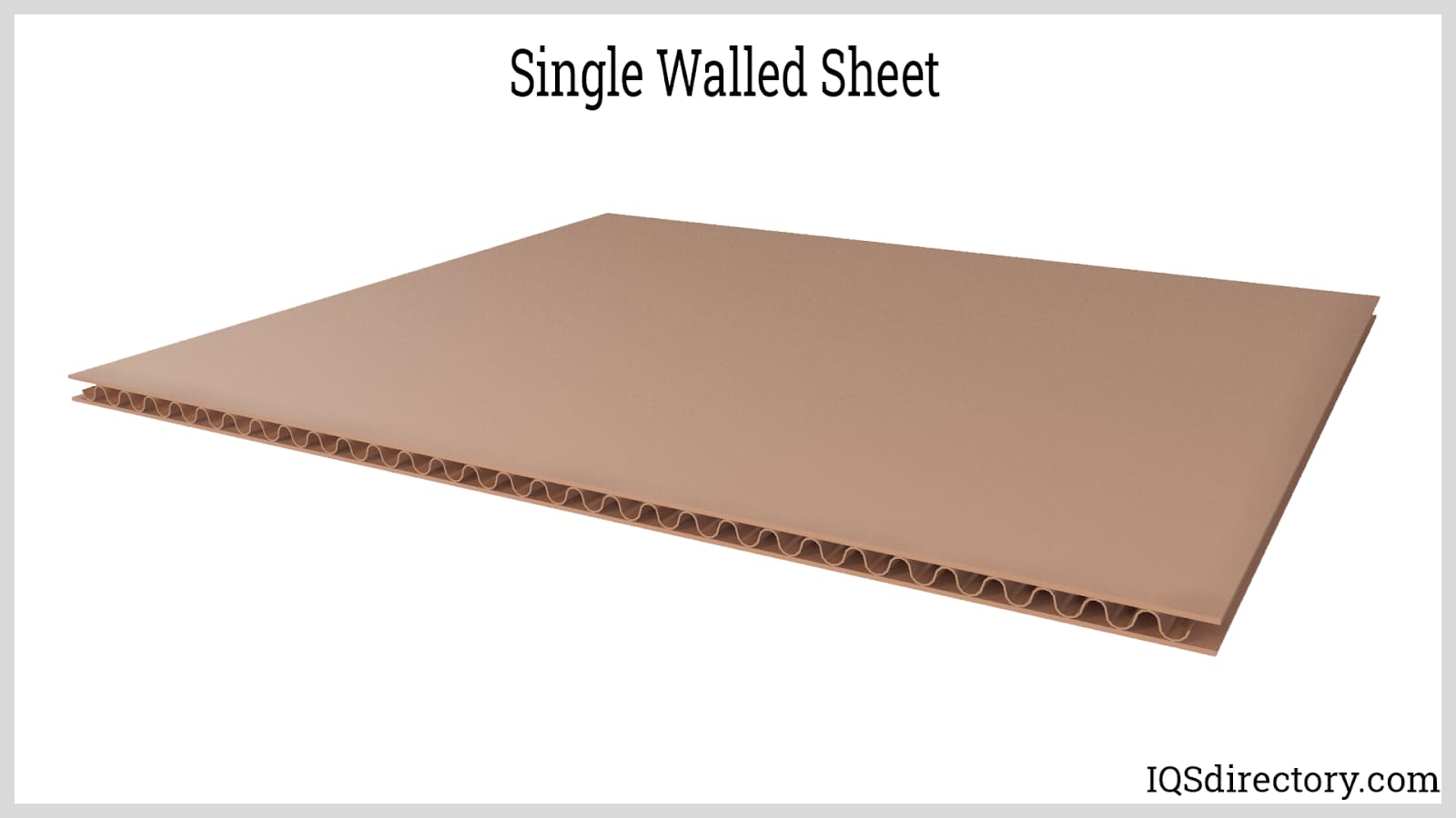 Single Walled Sheet