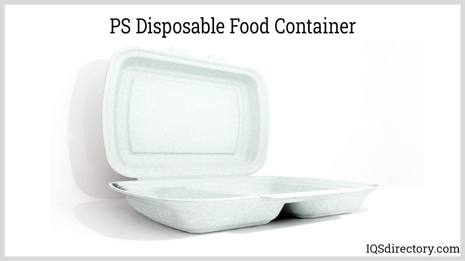 PS Disposable Food Container