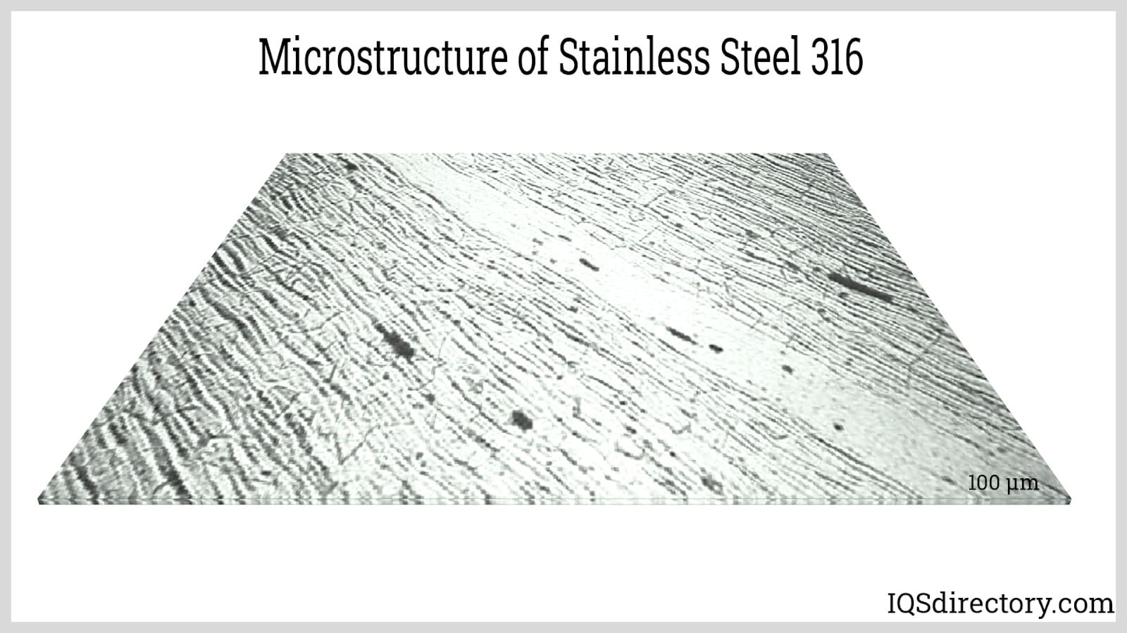 Microstructure of Stainless Steel 316
