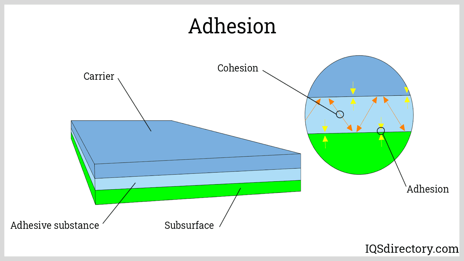 Adhesión