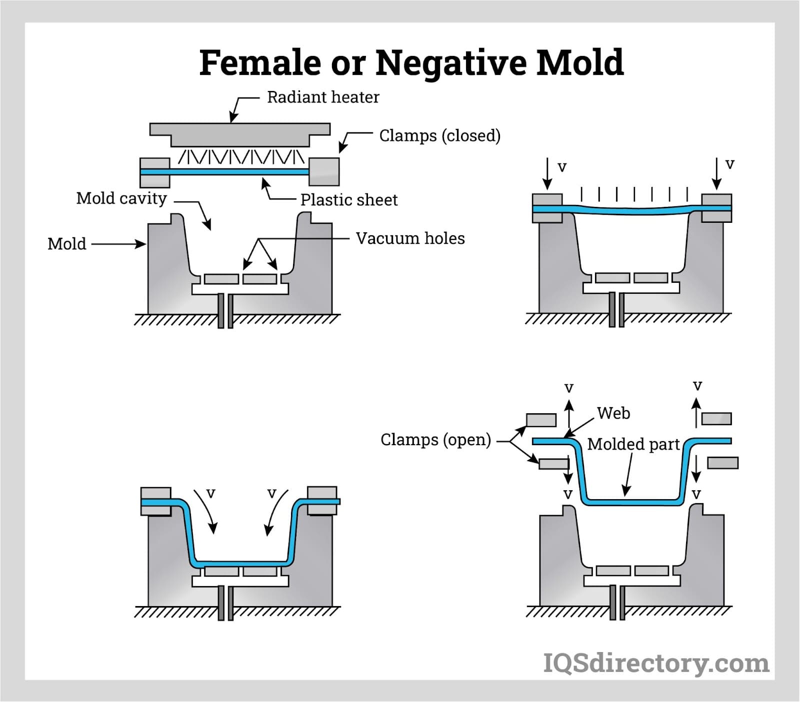 female or negative mold