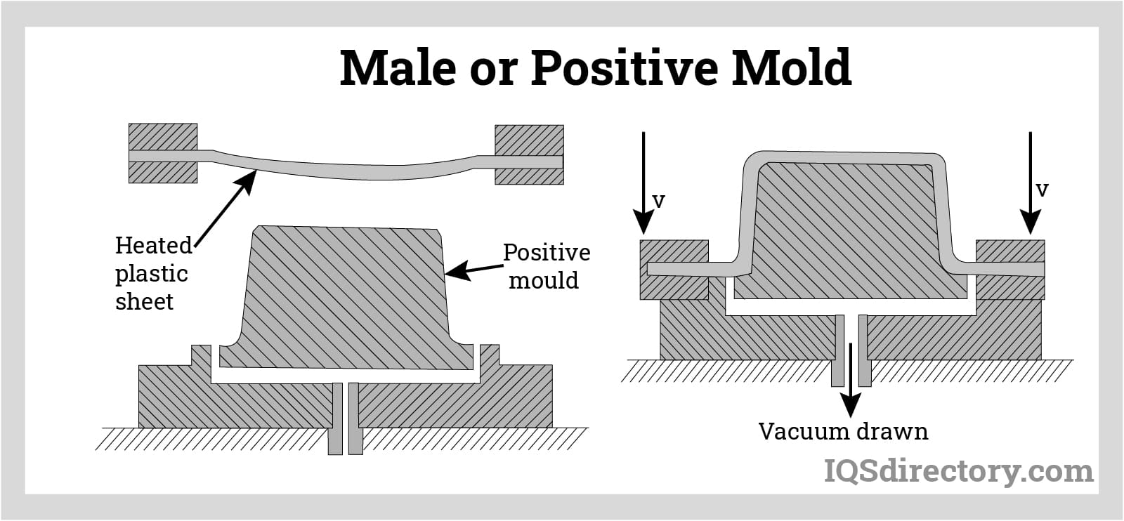 Male or Positive Mold