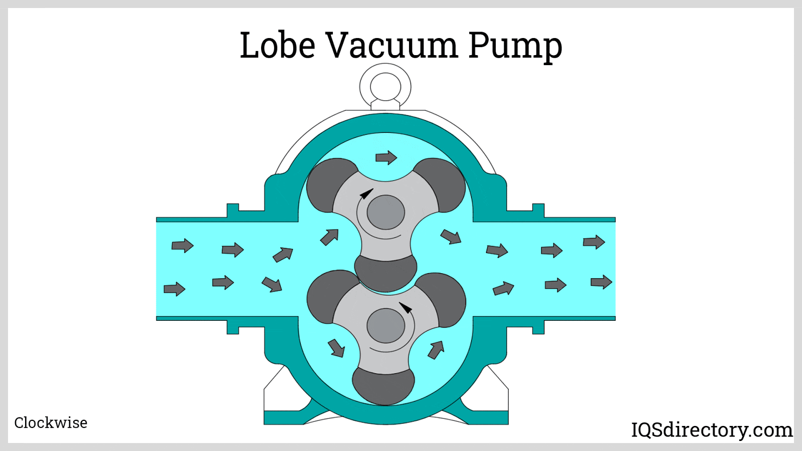 Lobe Vacuum Pump