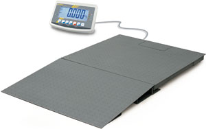 Floor Scale
